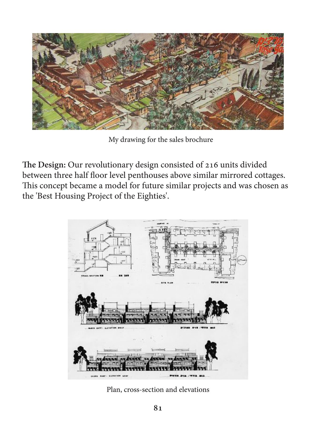 Rose Garden plan, section and elevations
